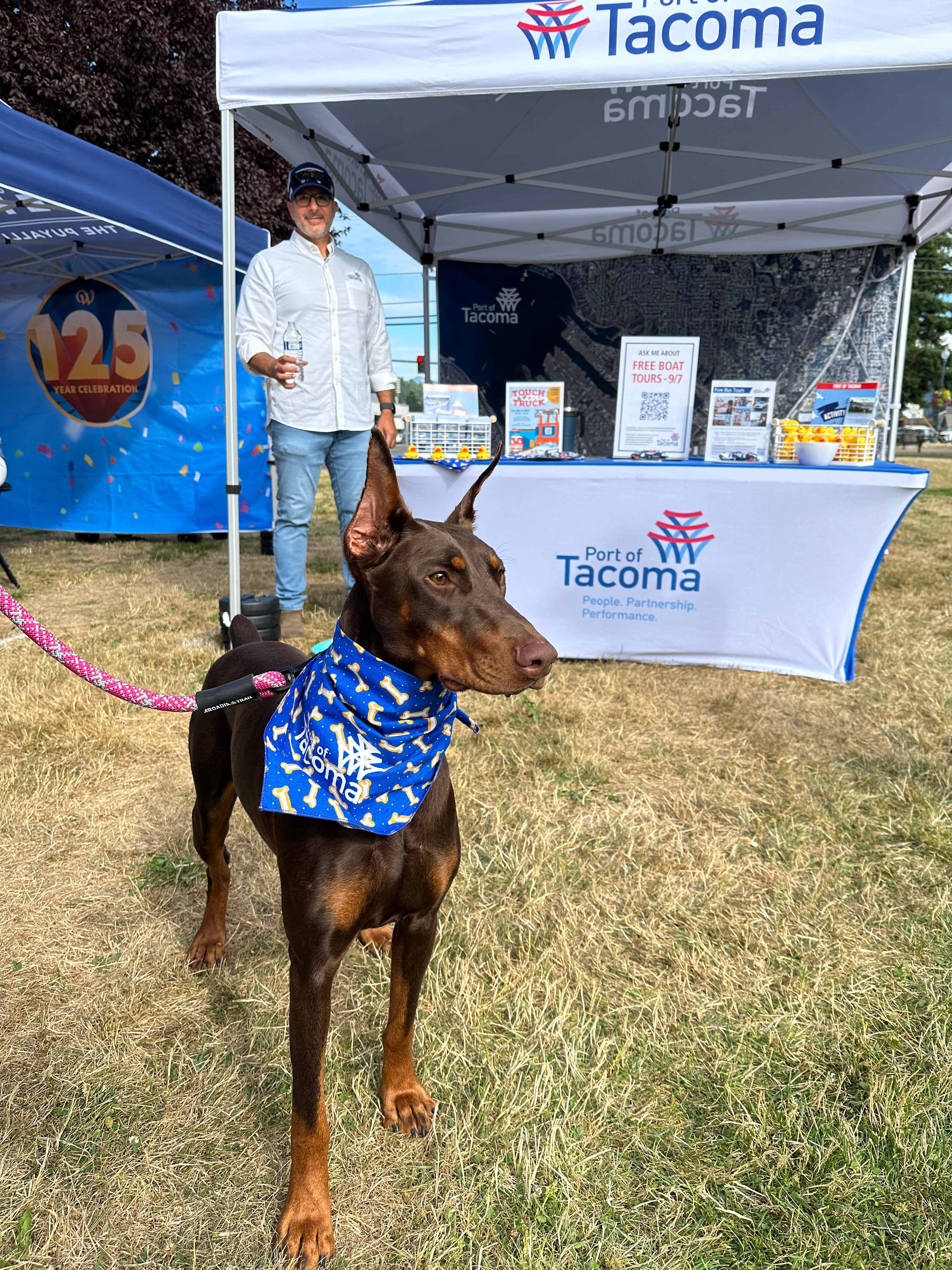 A tall brown dog in a blue bandana stands in front of a booth at an event.