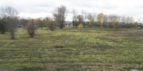 Wapato Creek from the air.